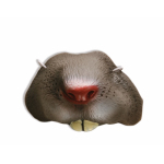 NOSE-MOUSE/RAT